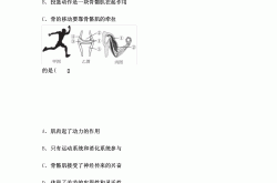 
初二上生物动物的运动和行为知识点
