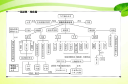 
高三生物思维导图（高考全册）