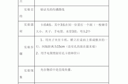 四年级科学浮力实验报告模板(小学四年级科学浮力实验报告单)