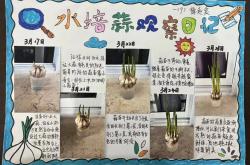 小学生生物观察活动（植物）(小学生观察不同环境里的植物活动方案)