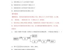 高二生物遗传规律专题训练(高中生物必修二遗传题解题思路和方法研究)