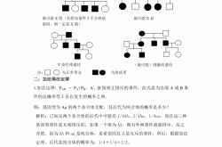 
高中生物遗传APP（概率计算）
