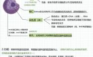 高中生物图解APP（细胞结构）(高中生物细胞的结构和功能思维导图)