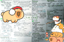 
高三生物思维导图专项（细胞/遗传/稳态/生态）