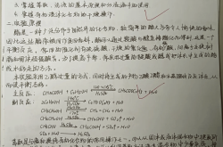 高二化学酯化反应实验(高二化学酯化反应实验报告)