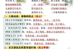 （三）三轮复习专项（15条）
