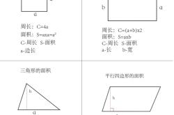四年级数学图形题画图步骤(小学四年级数学作图题专项训练)