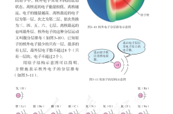 初三化学(初三化学必背知识点总结)