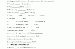 
七年级上册英语提前练—语法练习100道