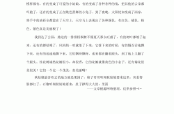 小学语文作文专项（写景）(小学语文作文写作方法和技巧)