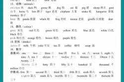 小升初期末冲刺模板（英语）
