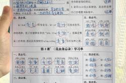 三年级学习方法指导手册(三年级数学学法指导有哪些)
