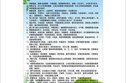 中小学环境教育实施细则(中小学环境教育实施指南教育部)