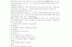 
高一英语竞赛真题（全国中学生英语能力竞赛）