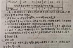 高考实验报告模板（物理/化学/生物）
