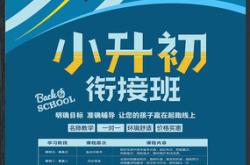 小升初衔接期总结报告模板(生涯发展报告pdf免费模板)