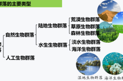 高一生物种群和群落汇总(高一生物种群基因组成的变化)