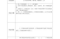 小升初实验报告模板（科学）(小升初科学部分21个必学小实验)