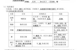 高中生物知识点卡片（核心考点）(高中生物知识点生物的变异与进化知识点)