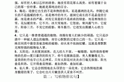 中考排比句仿写训练（抒情类作文适用）
