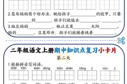 二年级期中复习资料包（语数英）
