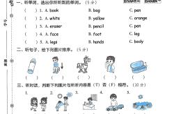 小学语数英三科合卷（三年级上）(三年级上册期未测试卷数学语文英语和科学)