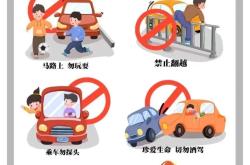 小学生安全教育知识（交通）(小学生安全教育知识内容100条)