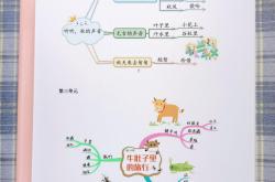 
苏教版三年级语文课文背诵思维导图