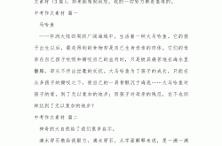 
中考语文作文素材200例（成长/文化/科技主题）
