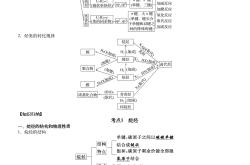 高三二轮复习思维导图（专题知识点）
