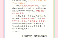 中考语文模板专项（作文/答题）
