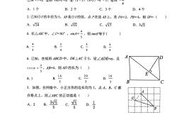 九年级数学答题技巧专项（选择/填空/解答）
