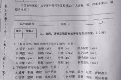 
六年级语文期末冲刺卷（全国通用）