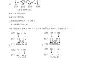 高二生物重点例题解析（遗传题）(高中生物必修二遗传题解题思路和方法研究)