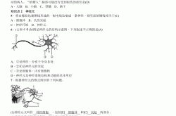 
小学神经系统组成练习题（简单版）
