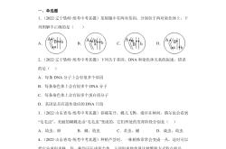 小升初遗传与变异知识点（入门）
