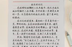 小升初语文培优专项（作文）(小升初备考计划基础培优45讲语文)