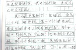 六年级日记写作指导（观察类专项）
