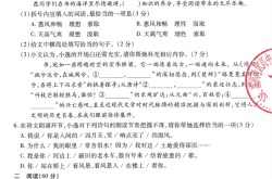 中考全科真题解析视频（近3年）
